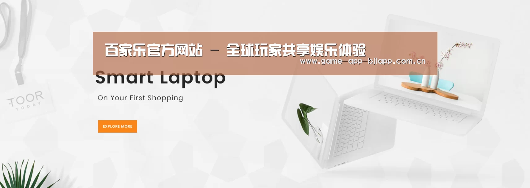 某某网络科技有限公司