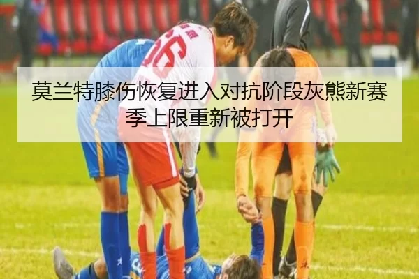 莫兰特膝伤恢复进入对抗阶段灰熊新赛季上限重新被打开