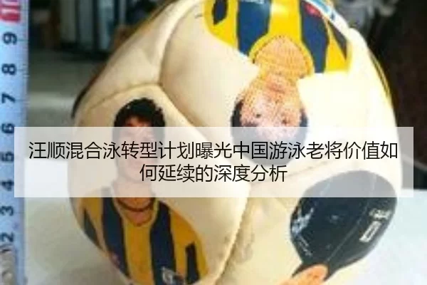 汪顺混合泳转型计划曝光中国游泳老将价值如何延续的深度分析