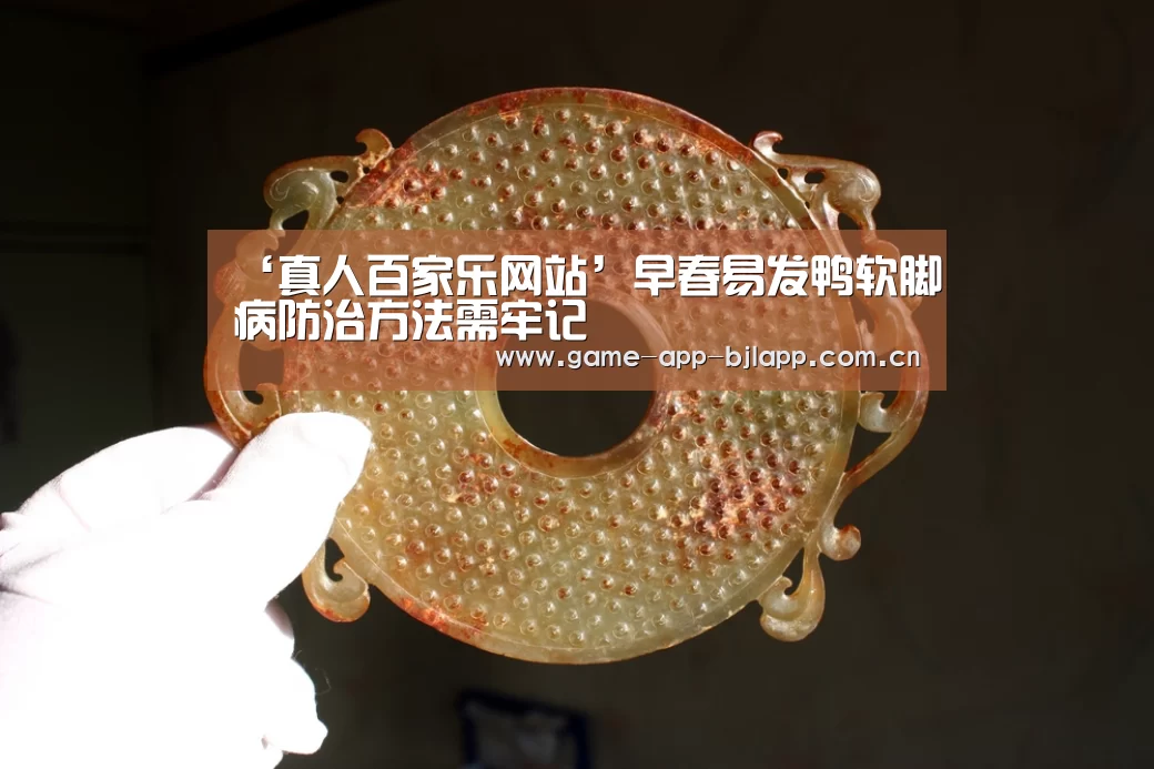 ‘真人百家乐网站’早春易发鸭软脚病防治方法需牢记(图1) 真人百家乐网站